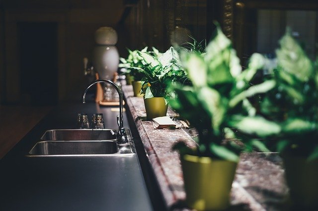 rostliny v kuchyni